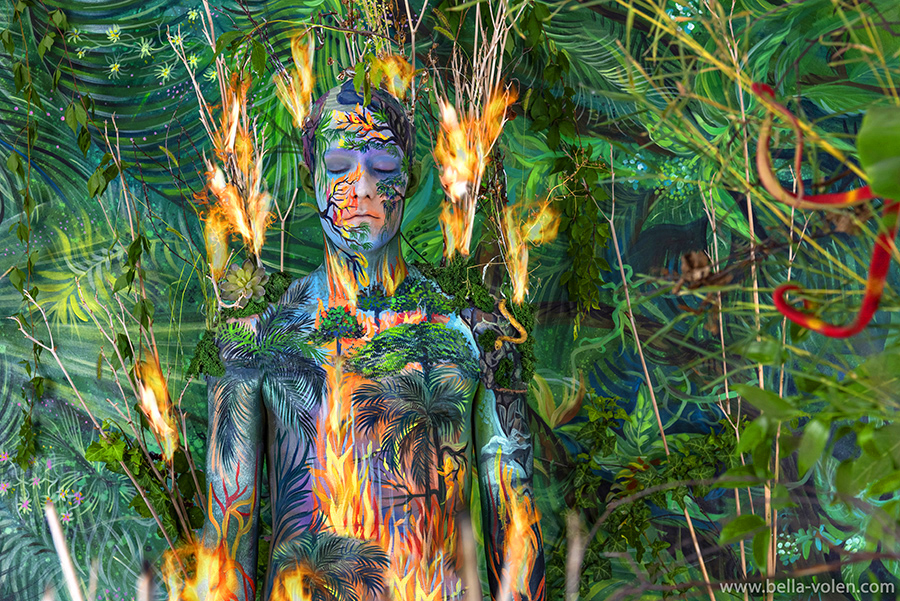  amazon on fire brazil - art project