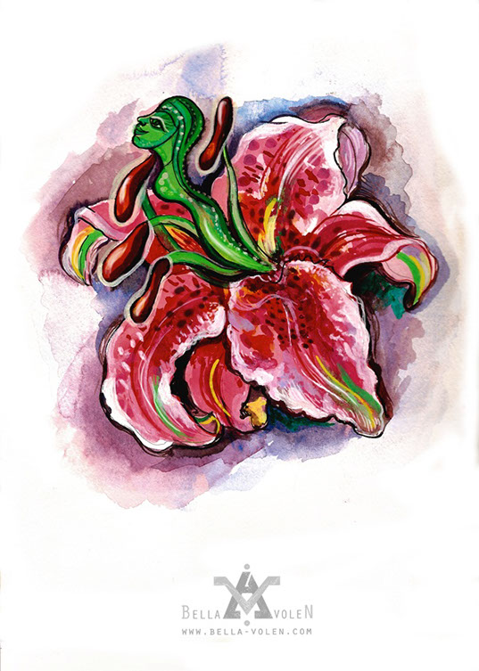 flower illustration flower illustration